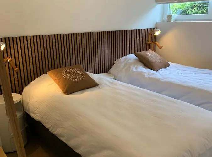 Le Lièvre Debout - Et Sauna